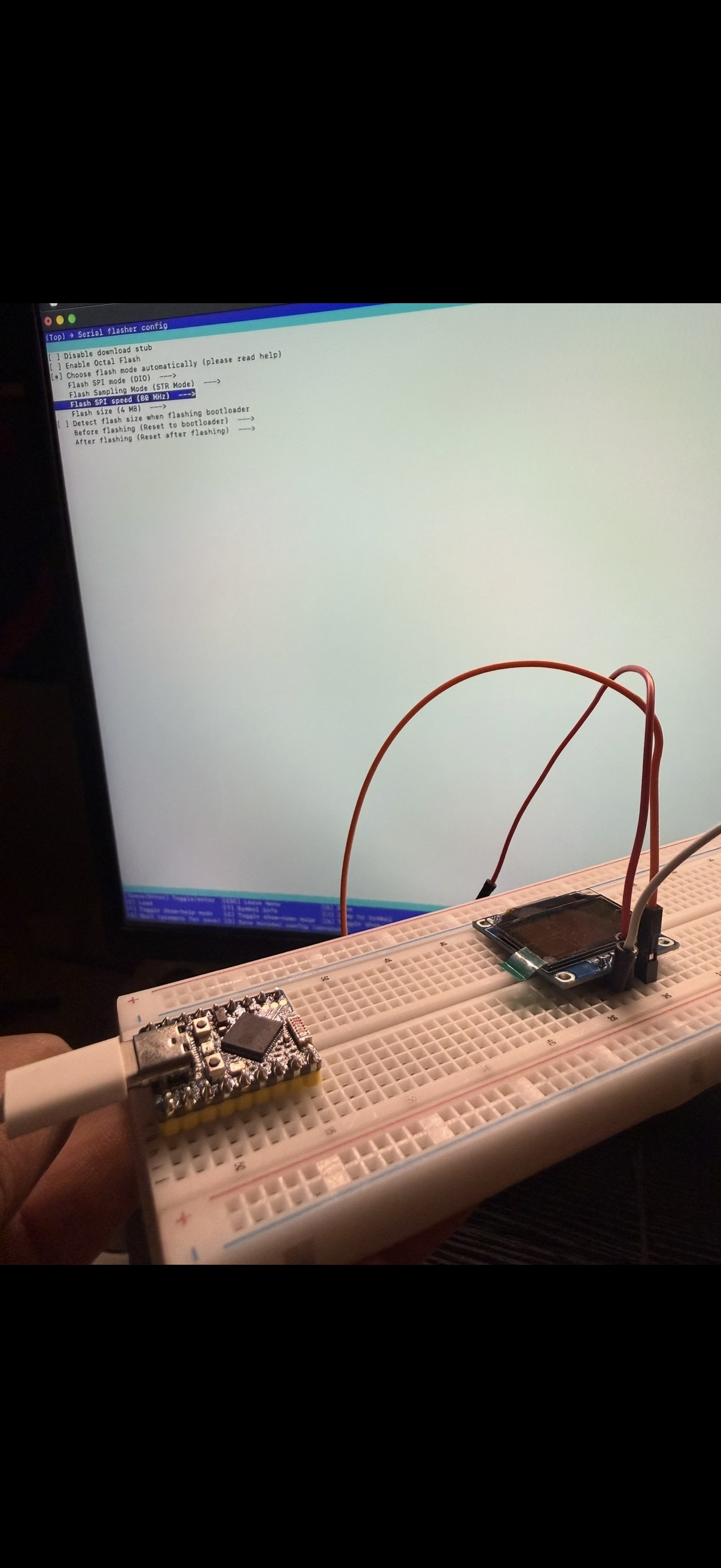LLM on ESP32